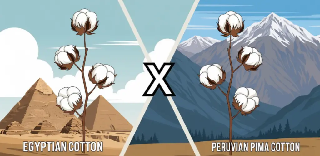 Algodão Egípcio vs Pima Peruano: Qual é o Melhor?